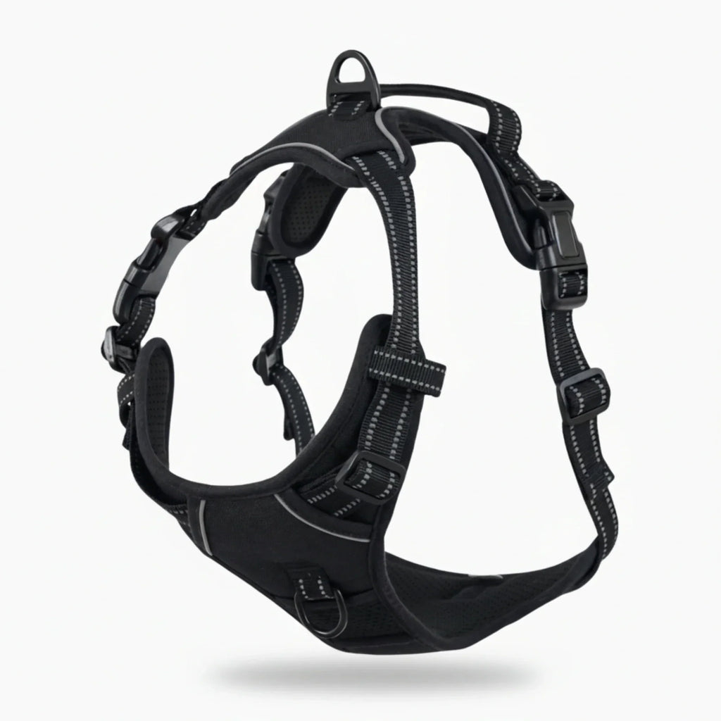FELSTERN™Anti-Pull Harness
