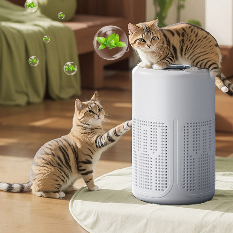 🔇50% OFF 💐Silent Air Purifier – Peaceful sleep, no noise😴【Limited Offer】