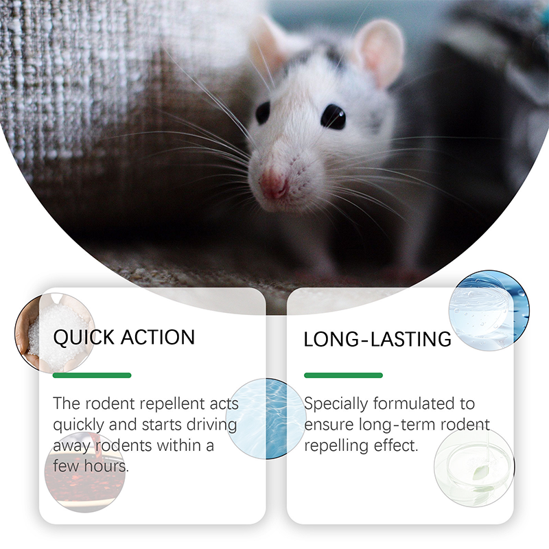Natural Peppermint Oil Rodent Repellent Spray