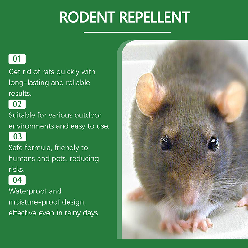 Natural Peppermint Oil Rodent Repellent Spray